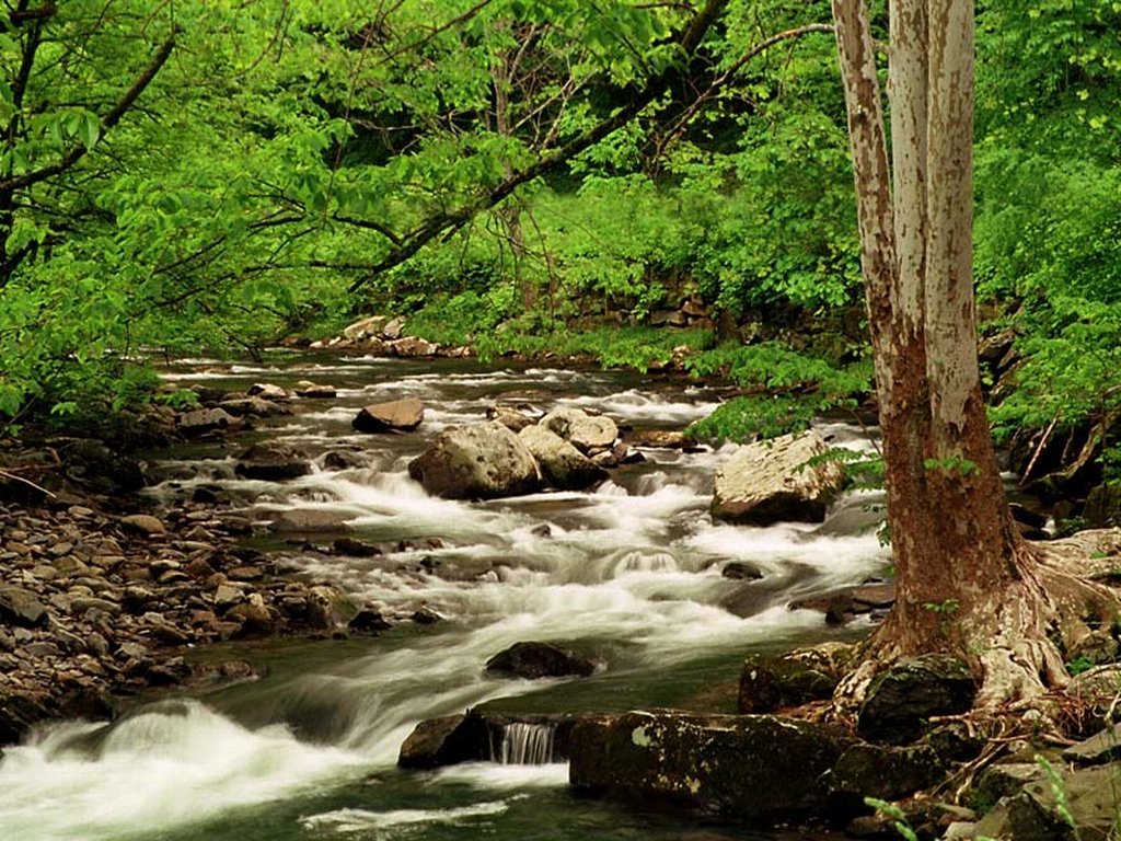 Fonds d'cran Nature Cascades - Chutes 