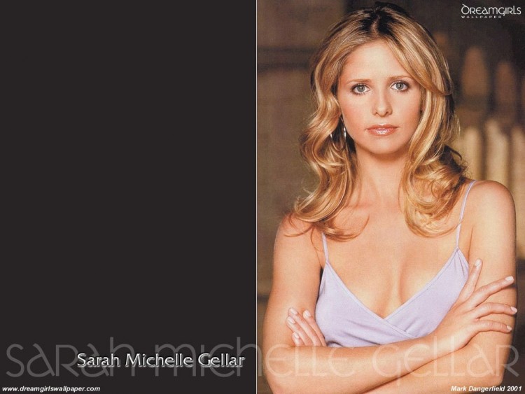 Fonds d'cran Clbrits Femme Sarah Michelle Gellar Wallpaper N57900