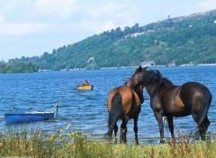 Fonds d'cran Nature Image sans titre N39822