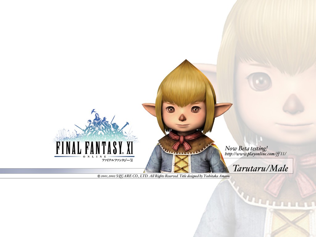 Fonds d'cran Jeux Vido Final Fantasy XI 