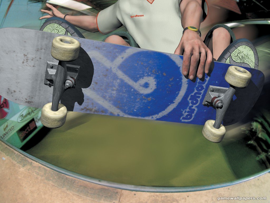 Wallpapers Video Games Tony Hawks Skateboarding 