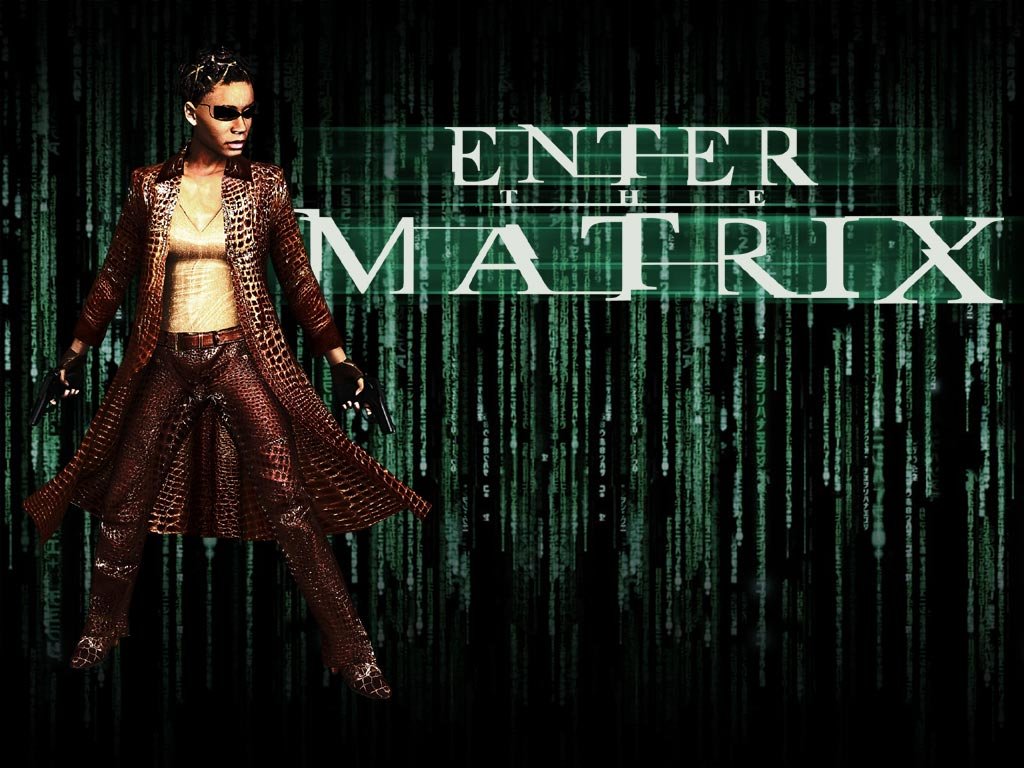 Wallpapers Video Games Enter The Matrix 