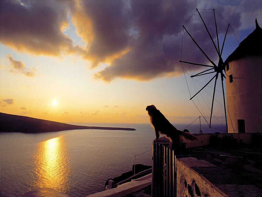 Fonds d'cran Nature Couchers et levers de Soleil 