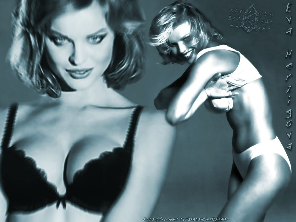 Wallpapers Celebrities Women Eva Herzigova 