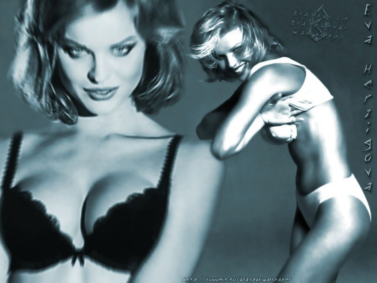 Wallpapers Celebrities Women Eva Herzigova Wallpaper N56127