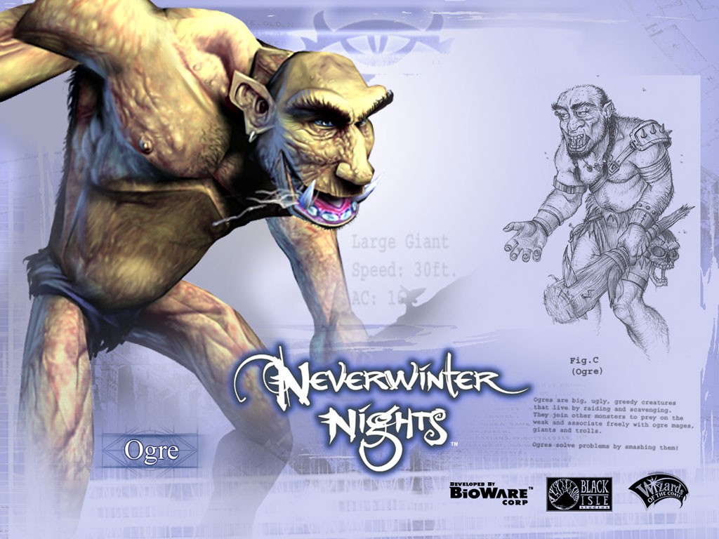 Fonds d'cran Jeux Vido NeverWinter Nights 