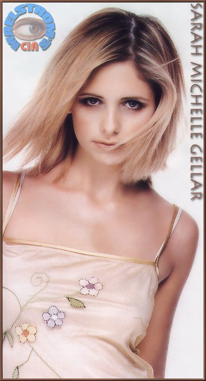 Wallpapers Celebrities Women Sarah Michelle Gellar 