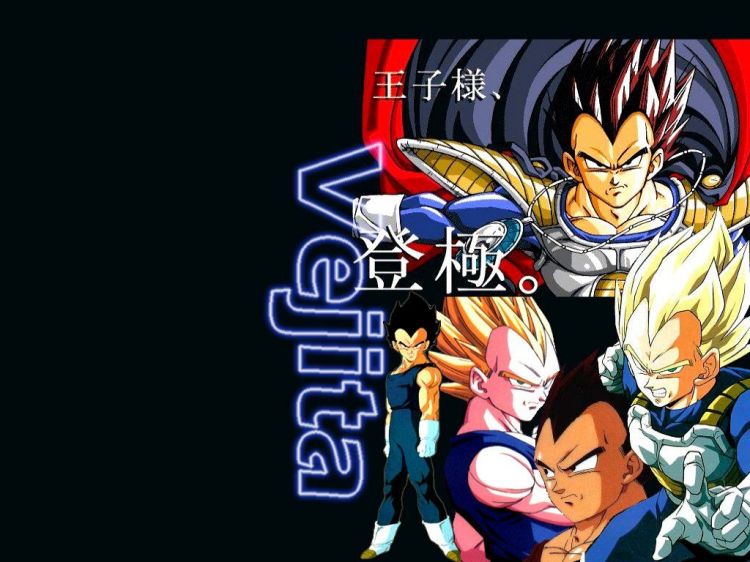 Wallpapers Manga Dragon Ball Z Wallpaper N48924