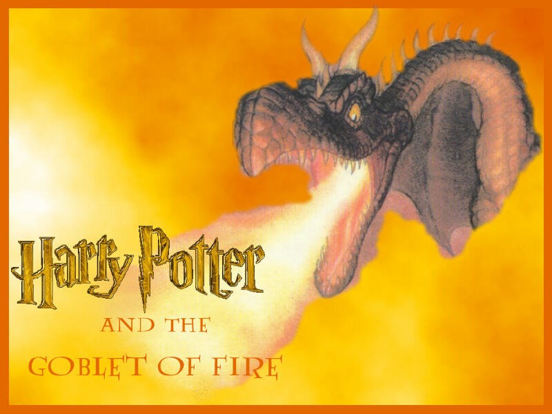 Fonds d'cran Cinma Harry Potter et la Coupe de Feu (IV) 