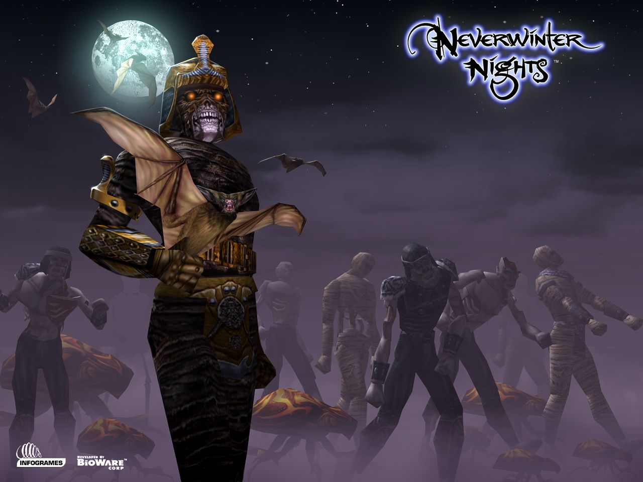 Fonds d'cran Jeux Vido NeverWinter Nights 