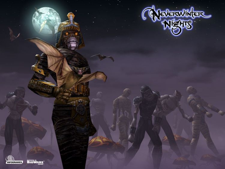 Fonds d'cran Jeux Vido NeverWinter Nights Wallpaper N33681