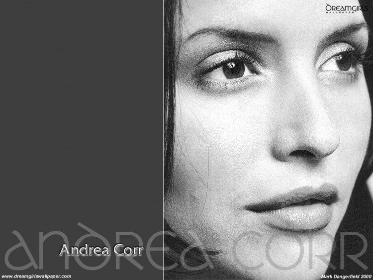 Wallpapers Music The Corrs Wallpaper N54785