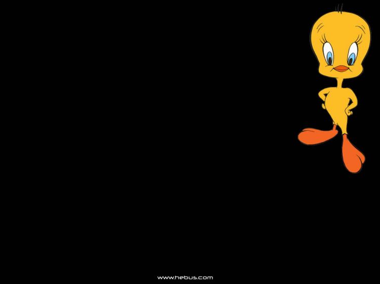 Fonds d'cran Dessins Anims Looney Tunes Wallpaper N30223