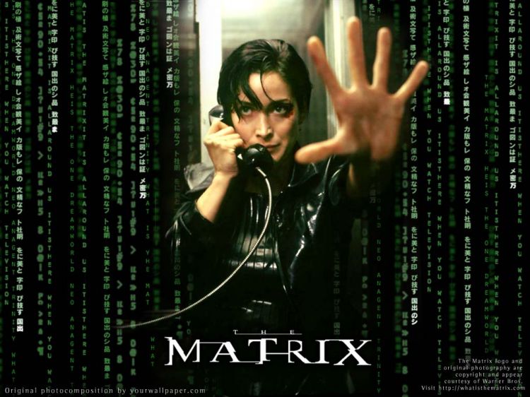 Fonds d'cran Cinma Matrix 1 Wallpaper N26210