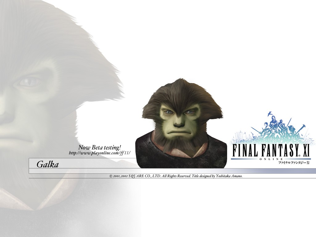 Fonds d'cran Jeux Vido Final Fantasy XI 