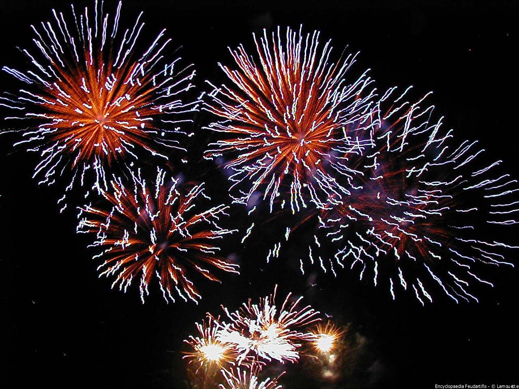 Fonds d'cran Hommes - Evnements Feux d'Artifice 