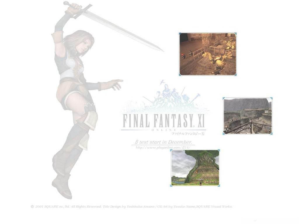 Fonds d'cran Jeux Vido Final Fantasy XI 