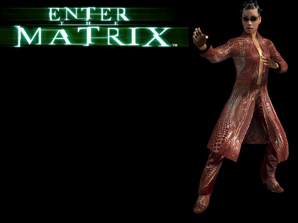 Wallpapers Video Games Enter The Matrix 