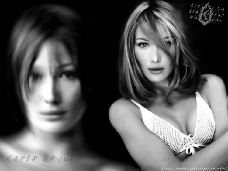 Wallpapers Celebrities Women Carla Bruni Wallpaper N55382