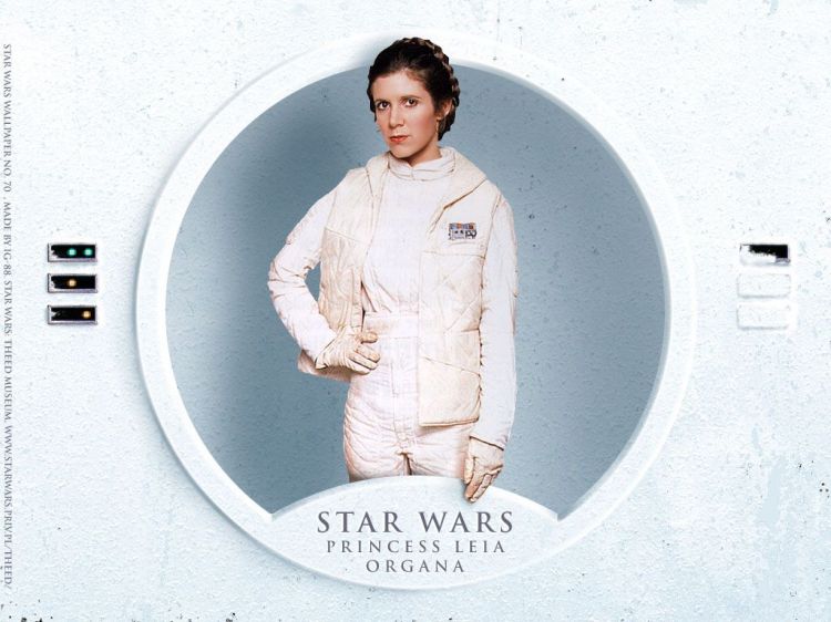 Fonds d'cran Cinma Star Wars - Spcial Personnages Wallpaper N27067