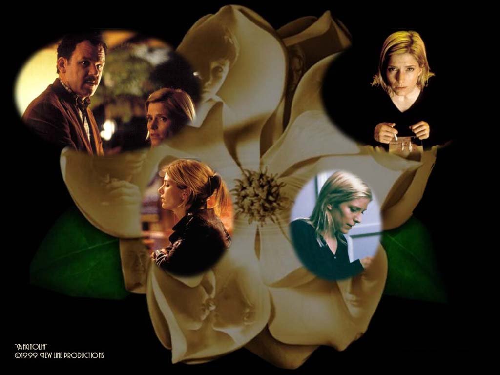 Wallpapers Movies Magnolia 