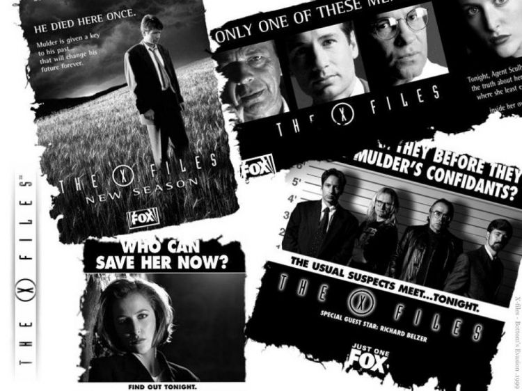 Fonds d'cran Sries TV X-Files : aux Frontires du rel Wallpaper N30615