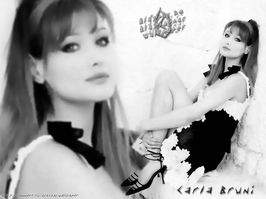 Wallpapers Celebrities Women Carla Bruni 