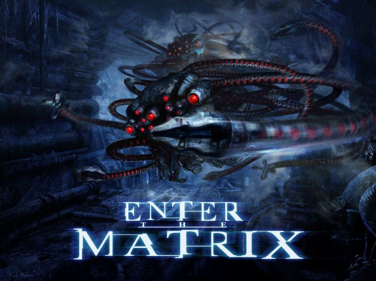 Fonds d'cran Jeux Vido Enter The Matrix Wallpaper N37058