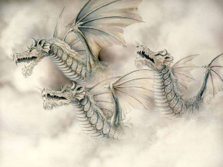 Fonds d'cran Fantasy et Science Fiction Cratures : Dragons Wallpaper N40868