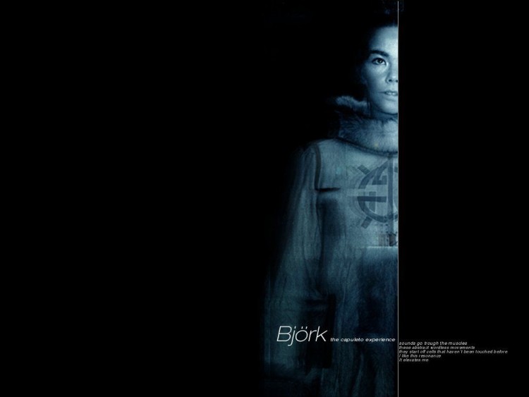 Fonds d'cran Musique Bjrk Wallpaper N53152