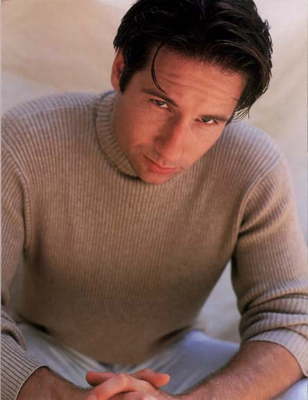 Fonds d'cran Clbrits Homme David Duchovny 