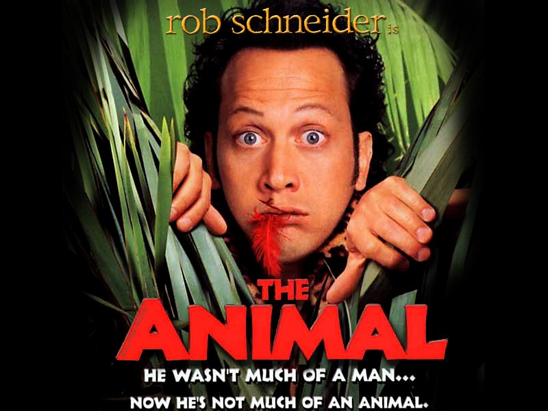 Wallpapers Movies The Animal 