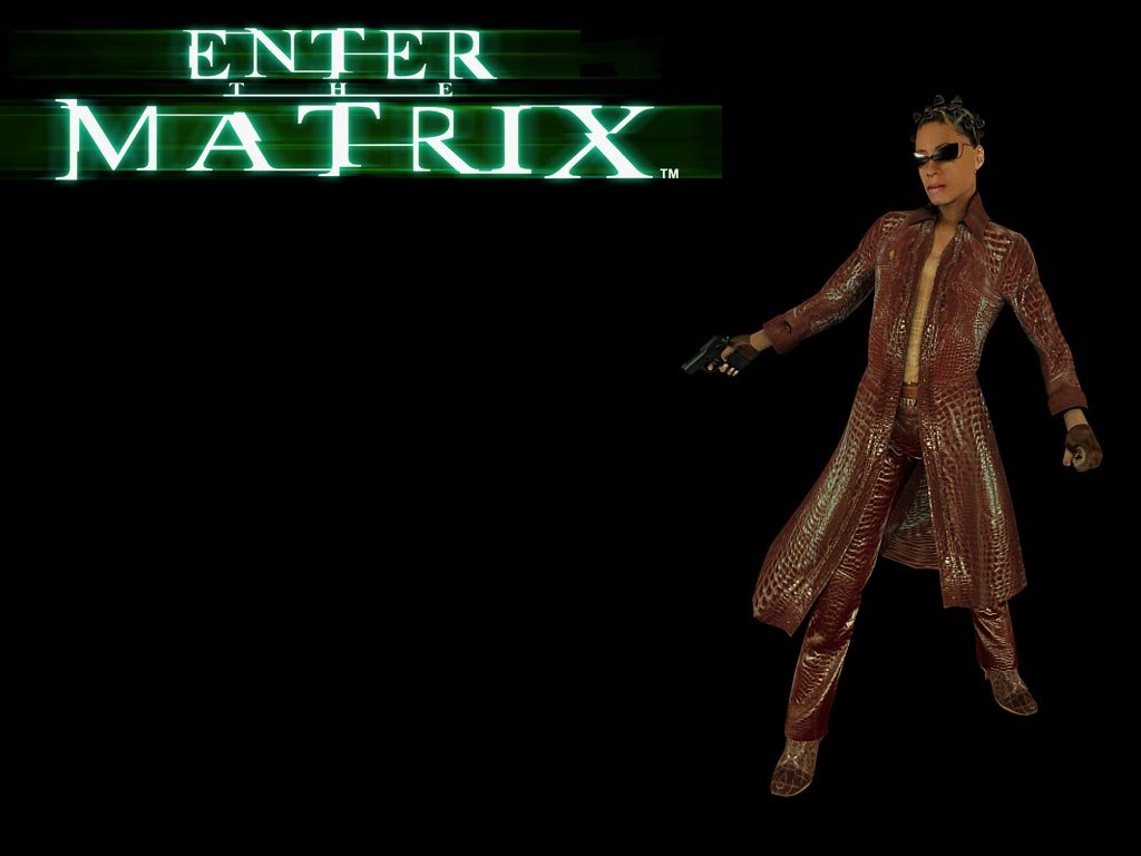 Wallpapers Video Games Enter The Matrix 