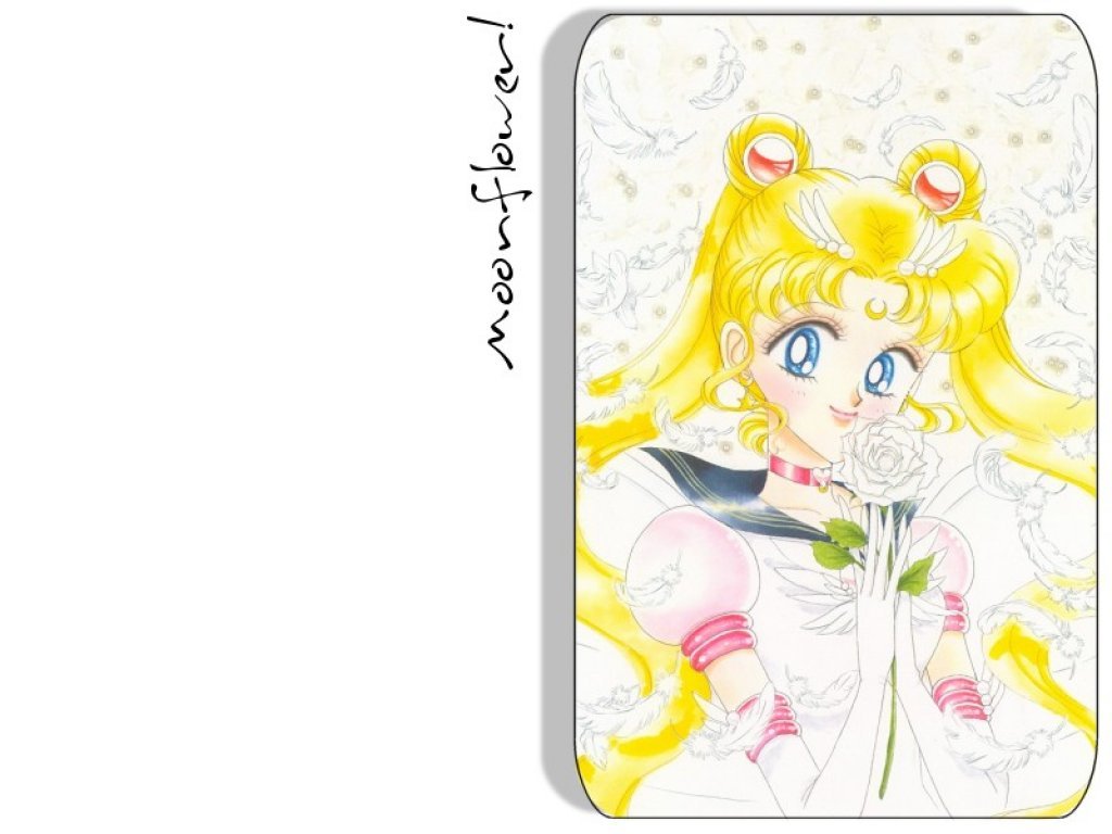 Wallpapers Manga Sailor Moon 