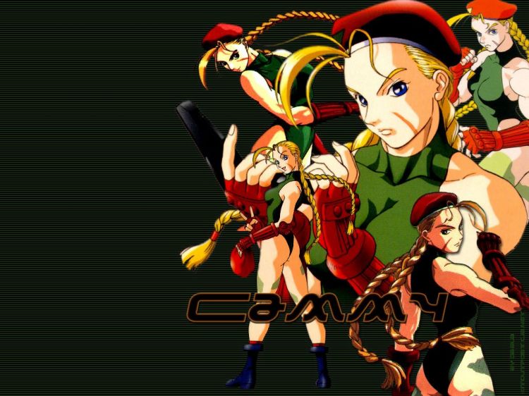 Fonds d'cran Jeux Vido Street Fighter Wallpaper N34746