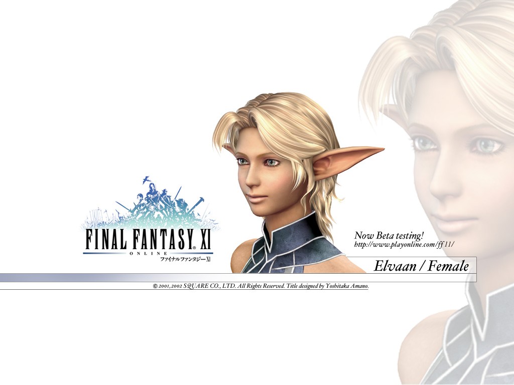 Fonds d'cran Jeux Vido Final Fantasy XI 