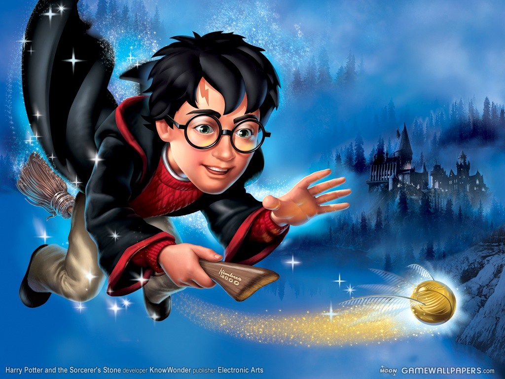 Fonds d'cran Jeux Vido Harry Potter 