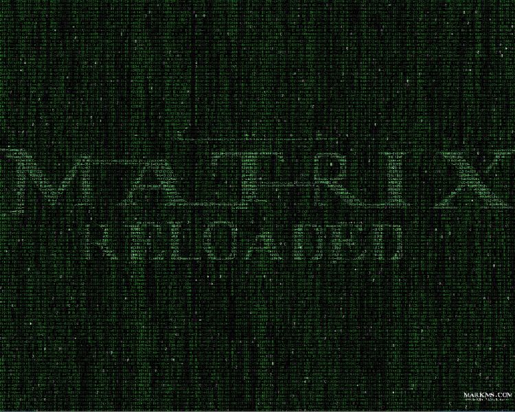 Fonds d'cran Cinma Matrix 2 Reloaded Wallpaper N29767