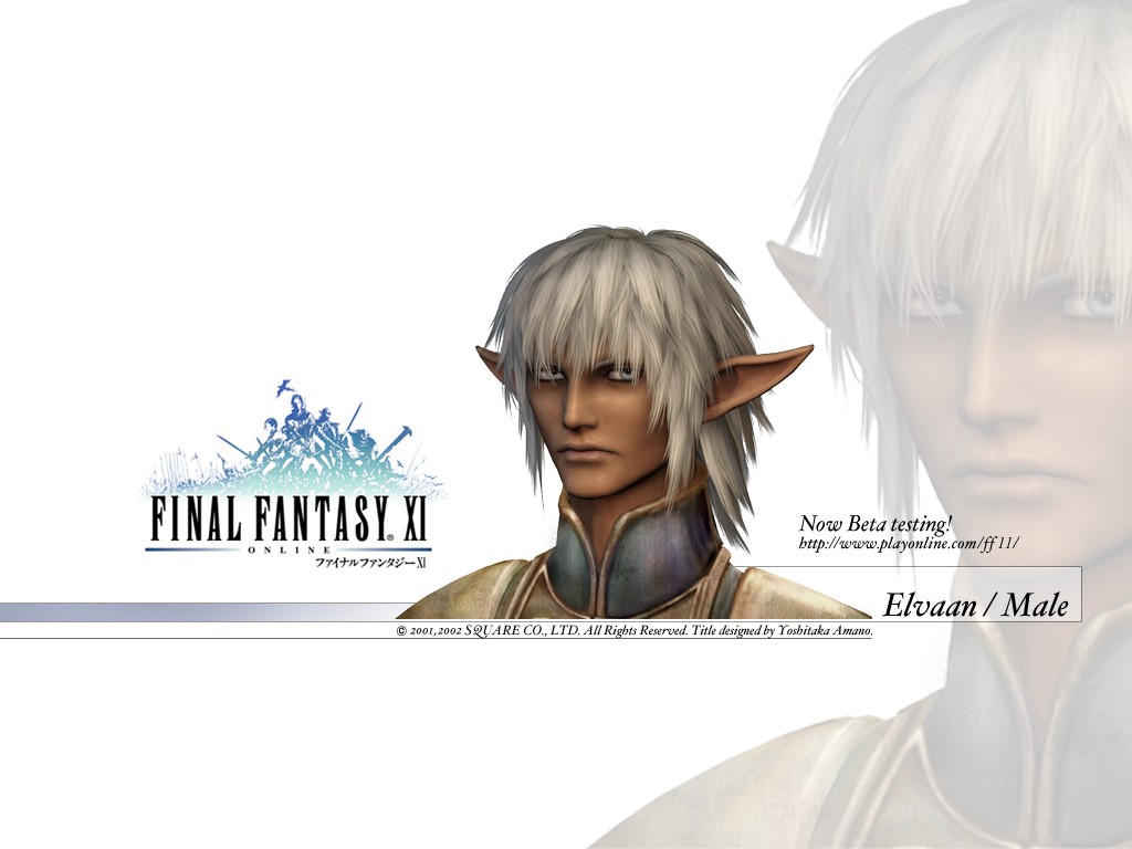 Fonds d'cran Jeux Vido Final Fantasy XI 