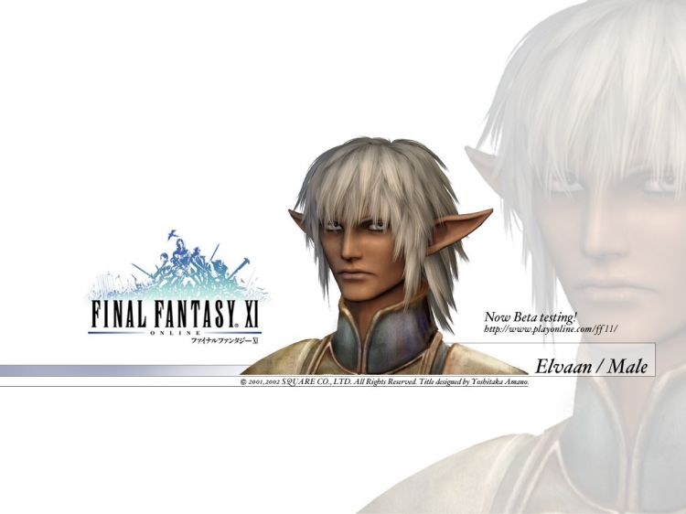 Fonds d'cran Jeux Vido Final Fantasy XI Wallpaper N32271