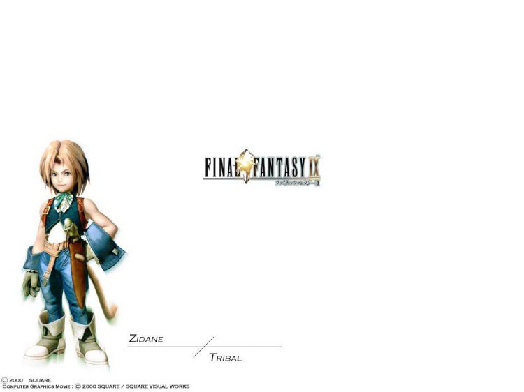 Wallpapers Video Games Final Fantasy IX Wallpaper N37109