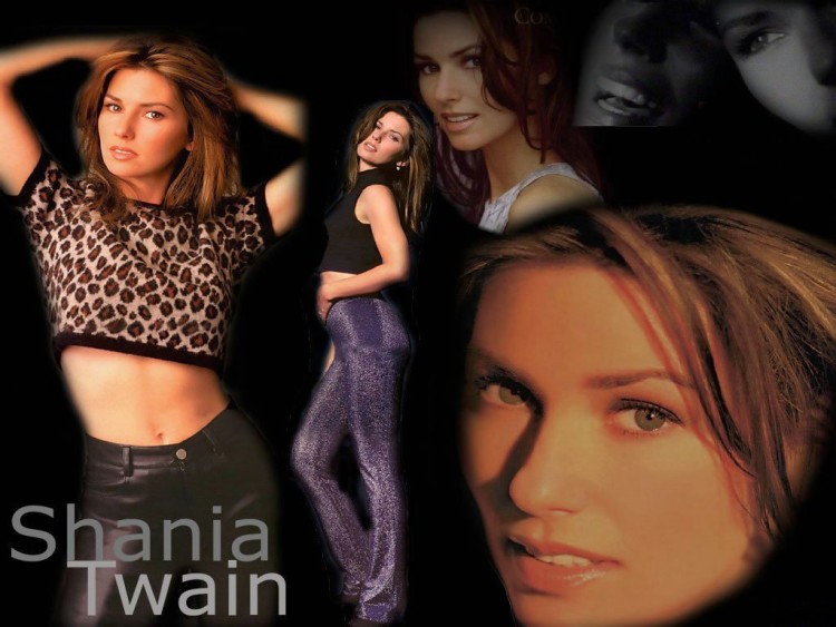 Fonds d'cran Musique Shania Twain Wallpaper N57971