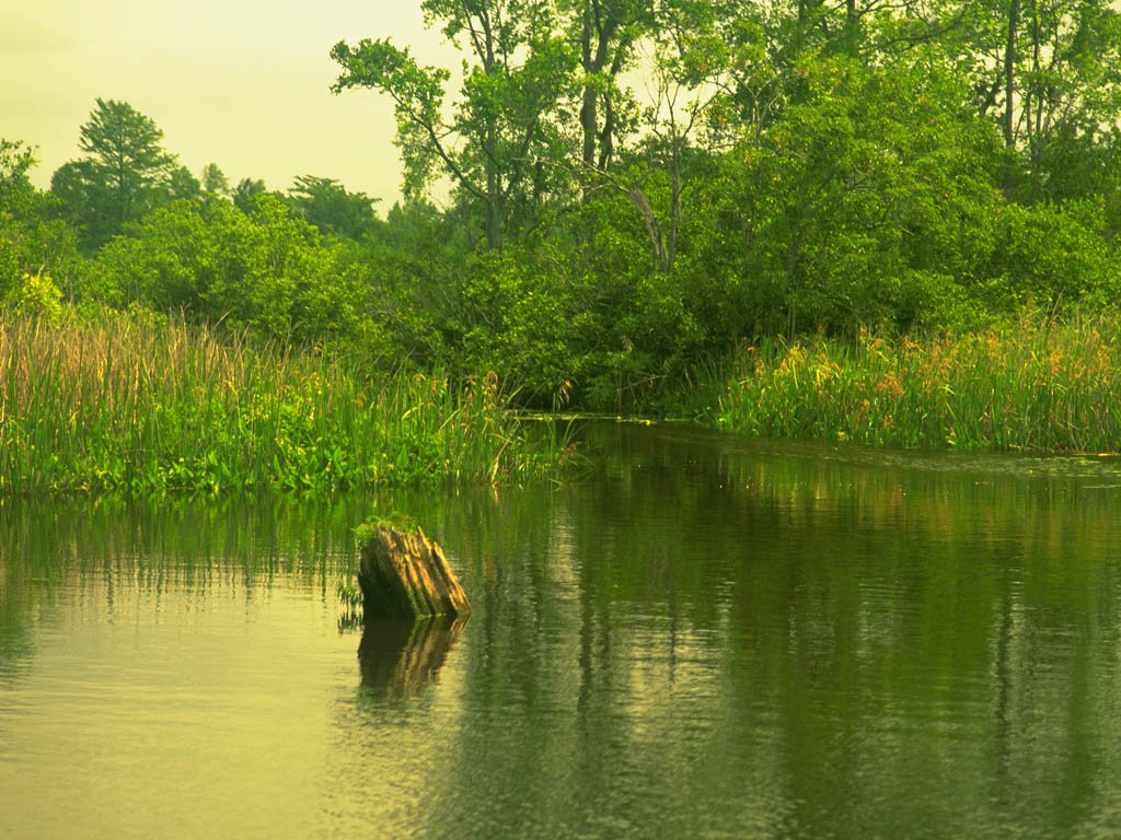 Fonds d'cran Nature Fleuves - Rivires - Torrents 