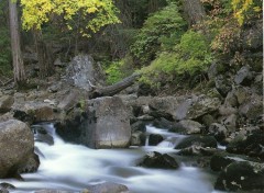 Fonds d'cran Nature Image sans titre N39489