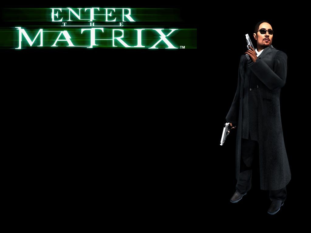 Wallpapers Video Games Enter The Matrix 