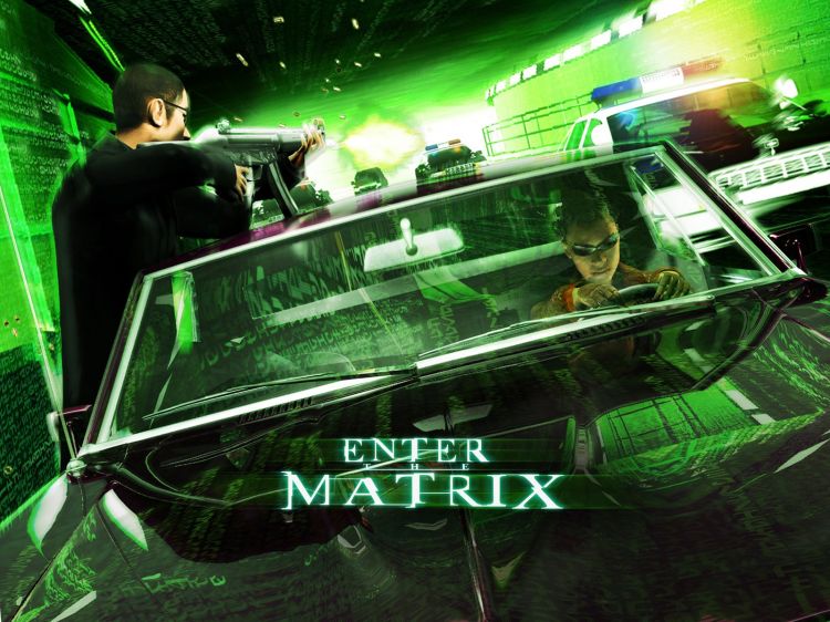 Fonds d'cran Jeux Vido Enter The Matrix Wallpaper N37059