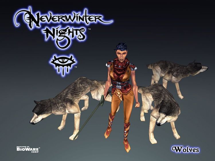 Fonds d'cran Jeux Vido NeverWinter Nights Wallpaper N31863