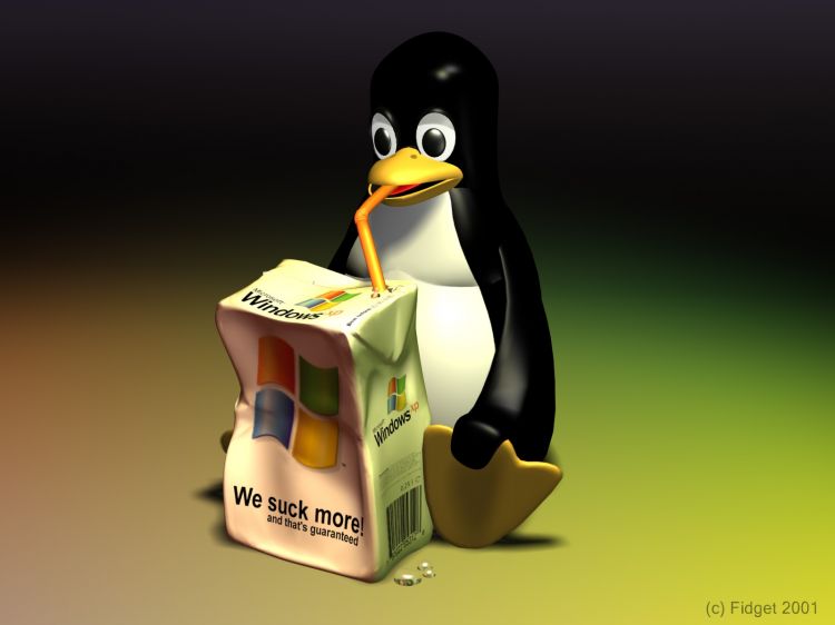 Fonds d'cran Informatique Linux Wallpaper N38205