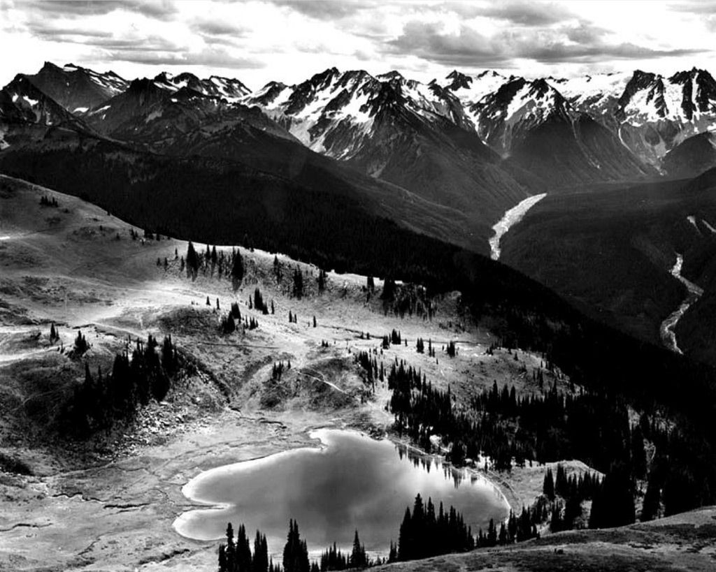 Fonds d'cran Nature Noir et Blanc 