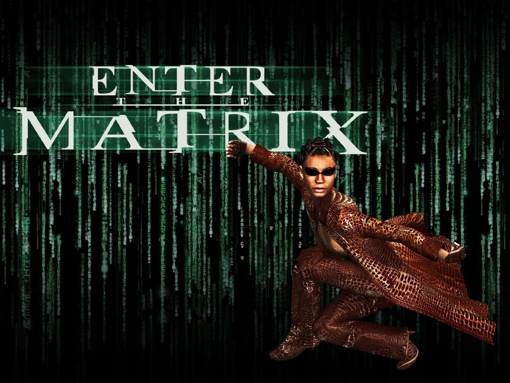 Wallpapers Video Games Enter The Matrix 